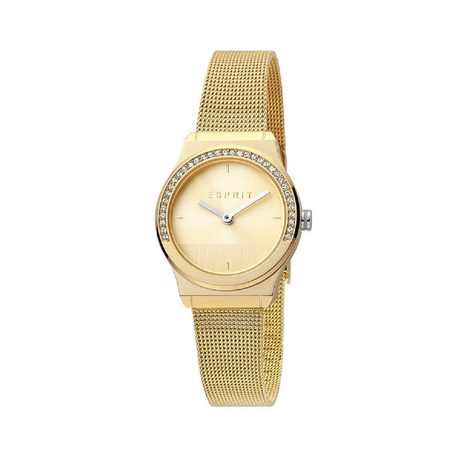 ESPRIT-ES1L091M0055 ESPRIT-ES1L091M0055