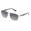 DS-2273-C2