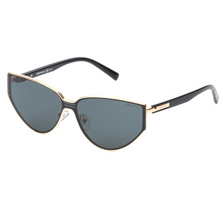 DS-2310-C1