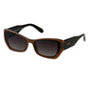 DS 2194 C4