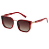 DS 2195 C4