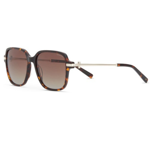 Despada DS 2441 Over-Sized Square Sunglasses For Women
