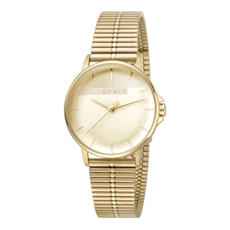 ESPRIT-ES1L065M0075