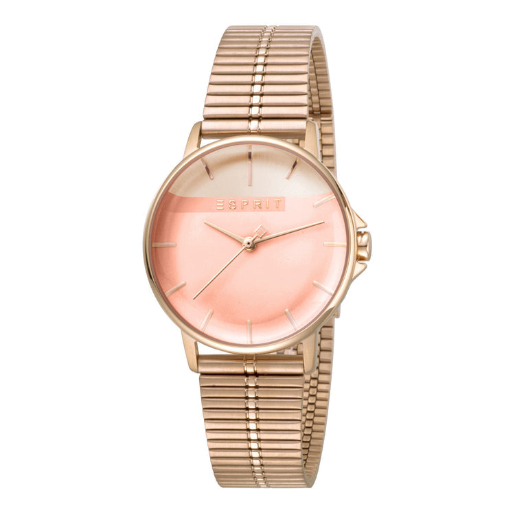 ESPRIT-ES1L065M0085